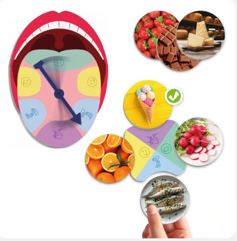 El Sentido del Gusto y los Sabores